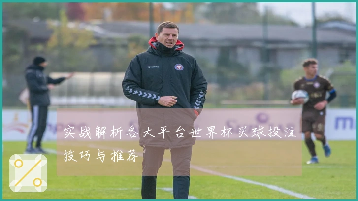 实战解析各大平台世界杯买球投注技巧与推荐