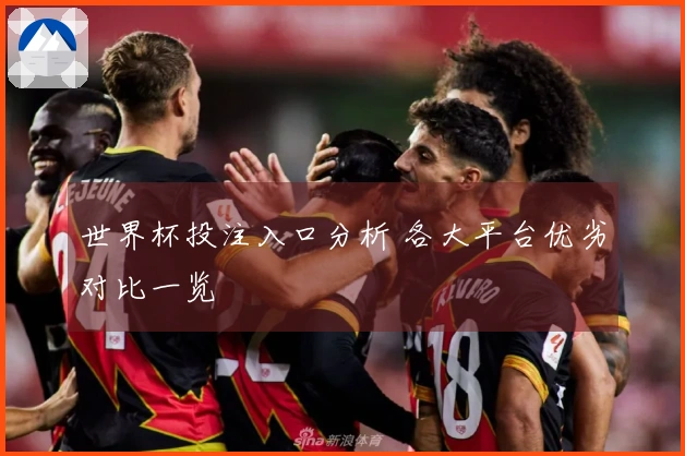 世界杯投注入口分析 各大平台优劣对比一览